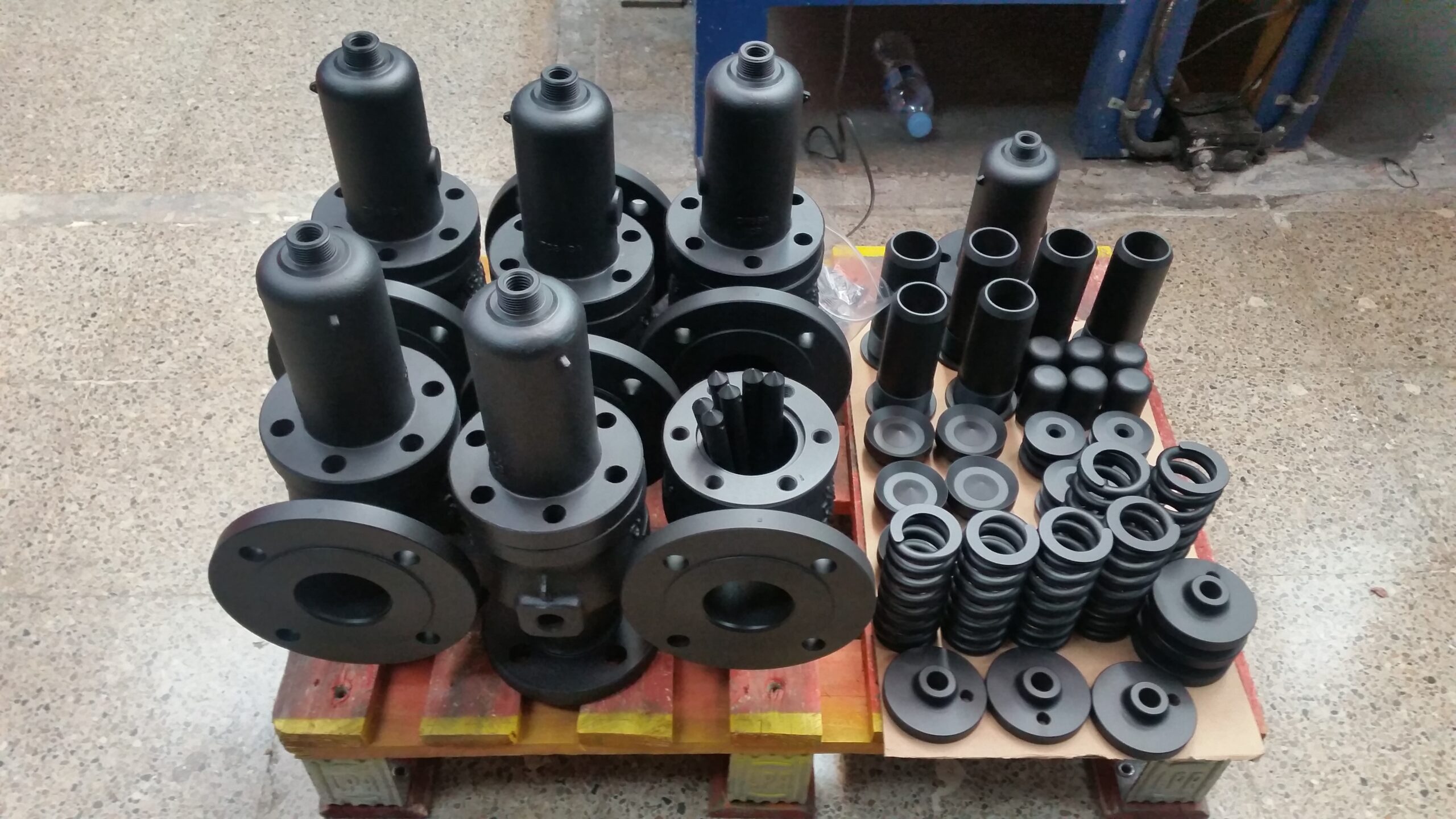 PTFE coated safety and relief valve components for corrosion-resistant industrial service