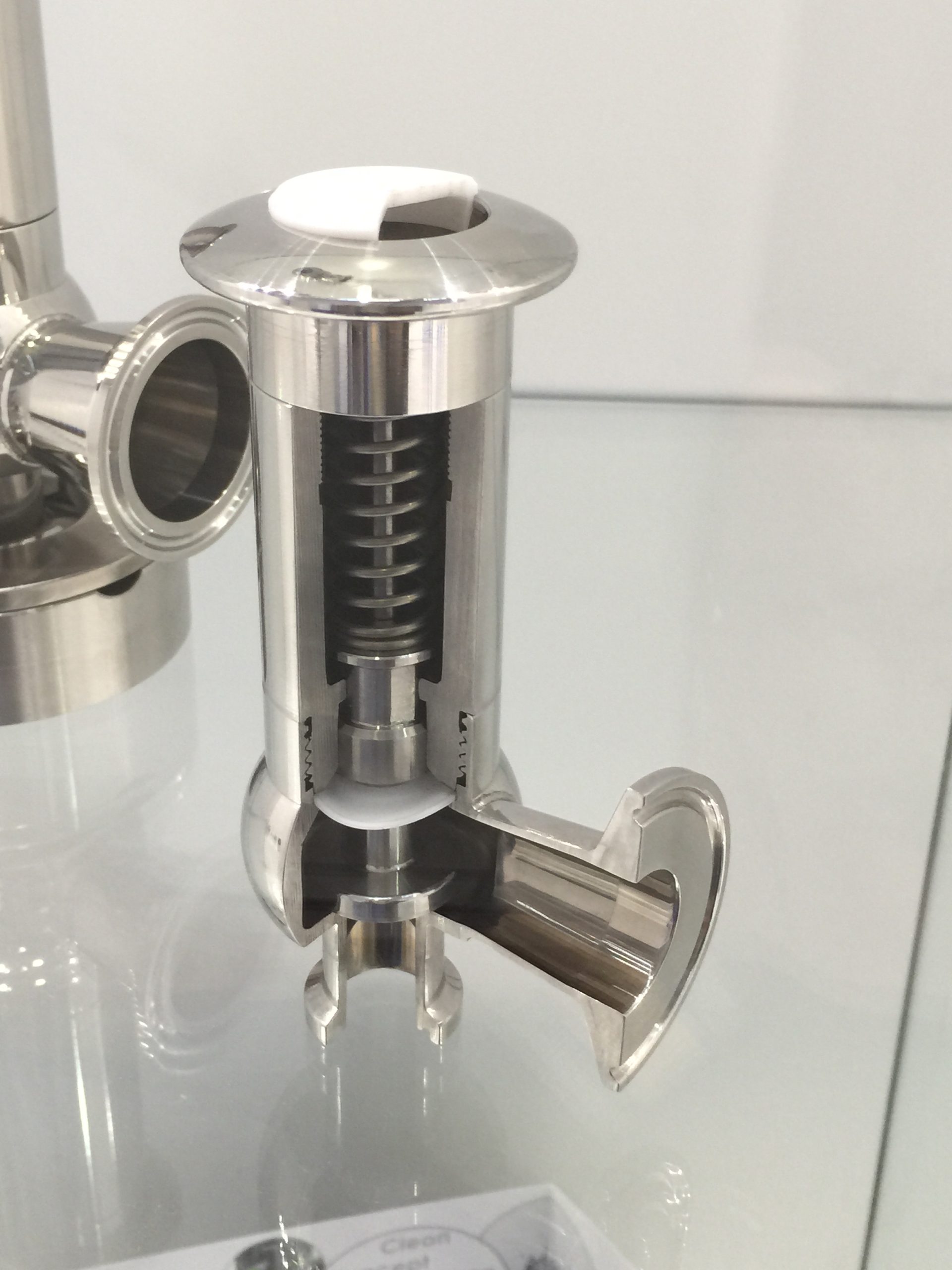 EF010 sanitary pressure safety valve cutaway showing spring, spindle and hygienic seat